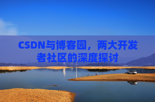 CSDN与博客园，两大开发者社区的深度探讨